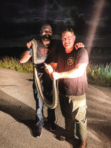 Python hunting in the Everglades