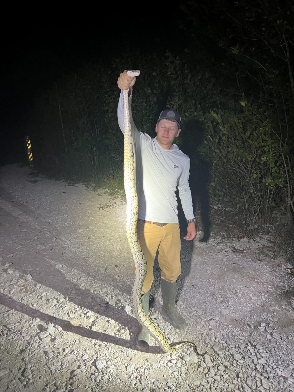 Embark on an Exciting Python Hunting Adventure