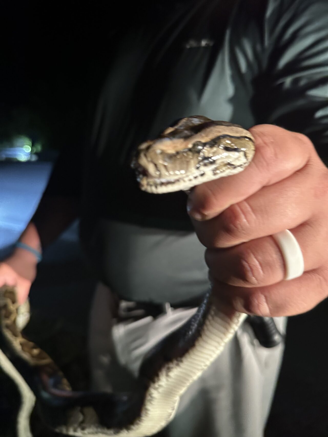 Home [pythonhunting.com]